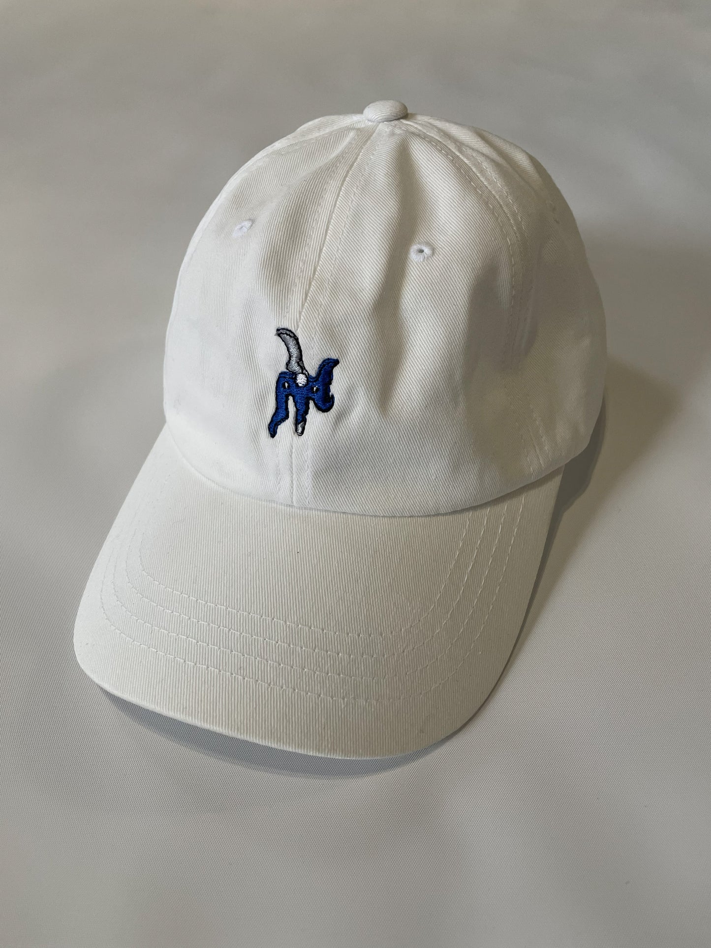 IcyBlade Dad Hat
